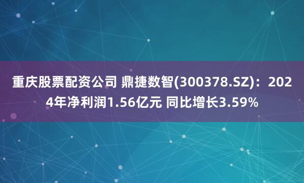 重庆股票配资公司 鼎捷数智(300378.SZ)：2024年净利润1.56亿元 同比增长3.59%