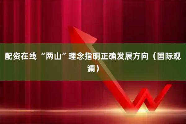 配资在线 “两山”理念指明正确发展方向（国际观澜）